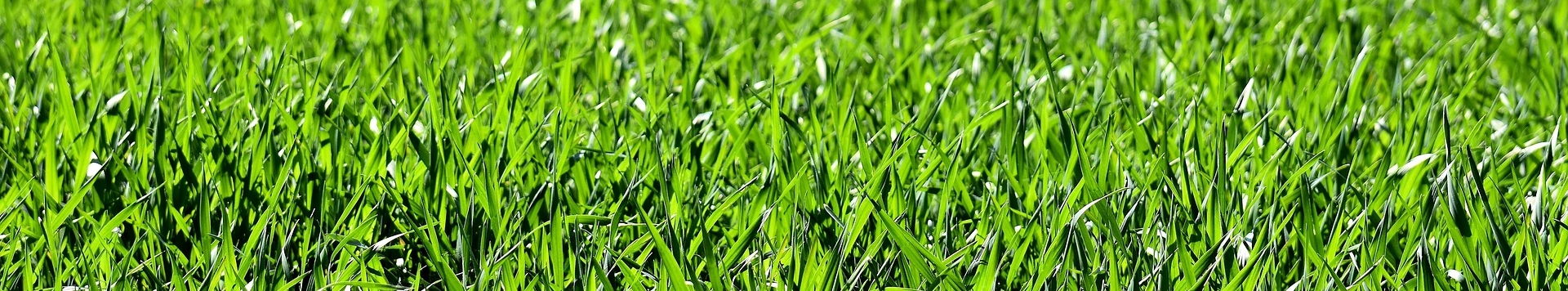 Génération junior association caritative Mandelieu la Napoule, archives